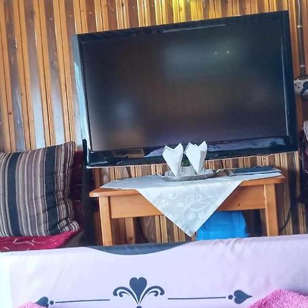 Hostel Intim 95 Ron Birlad Экстерьер фото